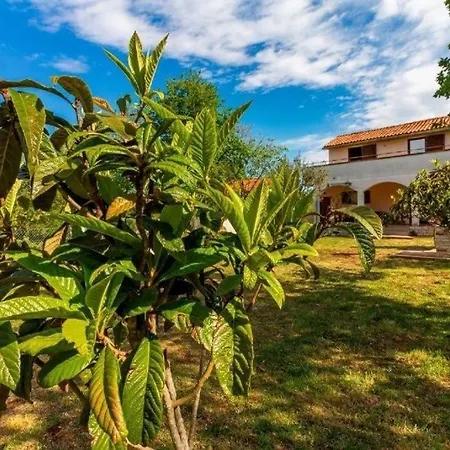 בית נופש House With A Parking Space Peroj, - 24246 פאז'אנה